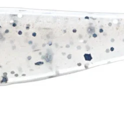 Z-Man Slim SwimZ 2 1/2 Inch Soft Plastic Paddle Tail Swimbait 8 Pack -Daiwa Store 12565994504247