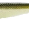 Z-Man SwimmerZ 6 Inch Paddle Tail Swimbait 3 Pack 1 Z-Man SwimmerZ 6 Inch Paddle Tail Swimbait 3 Pack -Daiwa Store 14480533422135