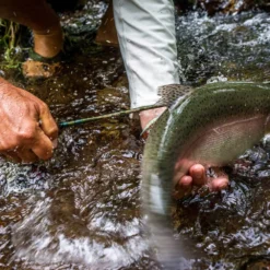 Temple Fork Outfitters Trout-Panfish Spinning Rods -Daiwa Store 21122588 1612726152092001 5893757740725659703 o