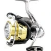 Daiwa Procyon LT Spinning Reels -Daiwa Store 31403870912601