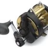 Shimano TLD II 2-Speed Lever Drag Conventional Reels -Daiwa Store 32381441802329