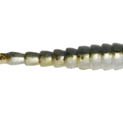 BioSpawn ExoSwim 4 Inch Paddle Tail Swimbait 6 Pack 10 BioSpawn ExoSwim 4 Inch Paddle Tail Swimbait 6 Pack -Daiwa Store 39264844841049