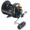 Shimano TLD Triton 1-Speed Lever Drag Conventional Reels -Daiwa Store 39356718219353