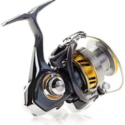 Daiwa Regal LT Spinning Reel -Daiwa Store 418E3HhhrIL. AC