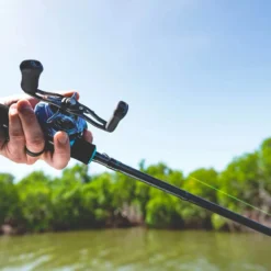 Daiwa Coastal TWS 80 Baitcasting Reel -Daiwa Store Coastal1Spot