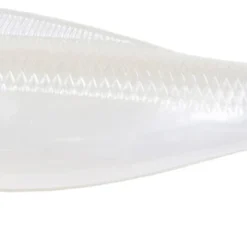 Z-Man DieZel MinnowZ 5 Inch Paddle Tail Swimbait 4 Pack -Daiwa Store DMIN5 84PK4 scaled