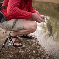 Temple Fork Outfitters Trout-Panfish Spinning Rods -Daiwa Store DSC04055 IG