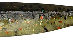 Keitech Easy Shiner 3 Inch Soft Paddle Tail Swimbait -Daiwa Store ES.423 perch 95e1e840 fbf0 43a1 8346 751f862eb9c6