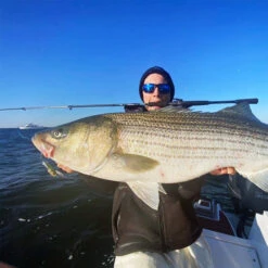 Nomad Design Inshore Spinning Rod -Daiwa Store Inshore spin rod striper