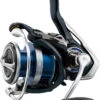 Daiwa Legalis LT Spinning Reels -Daiwa Store LGLT2500D crop