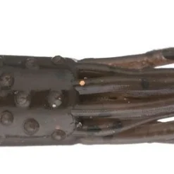 Z-Man TRD TubeZ 2 3/4 Inch Soft Plastic Ned Rig Tubes 6 Pack -Daiwa Store Mudbug 0f619de3 3d76 4a67 b10a 6e820dd4a2a7