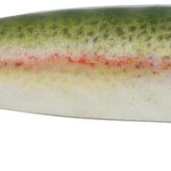 Berkley PowerBait Grass Pig Paddle Tail Swimbait 17 Berkley PowerBait Grass Pig Paddle Tail Swimbait -Daiwa Store PowerBait Grass Pig HD Rainbow Trout alt1 2000