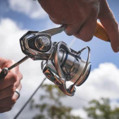 Daiwa Procyon MQ LT Spinning Reel -Daiwa Store Procyon1Spot