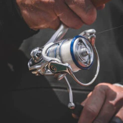 Daiwa Procyon MQ LT Spinning Reel -Daiwa Store Procyon3Spot 1000x a9dd0fff 5484 484f ada8 569f03ffa72b