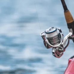 Daiwa Procyon MQ LT Spinning Reel -Daiwa Store Procyon4Spot