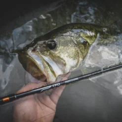 Temple Fork Outfitters Professional Spinning Rods -Daiwa Store Professional Carousel Lifestlye 1 9248a8c8 d783 47f1 a411 0024650bb34a