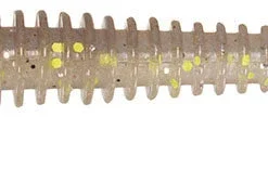 Keitech Swing Impact 2.5 Inch Soft Paddle Tail Swimbait -Daiwa Store SW.426 sexy shad 6fa08d56 9b7f 4313 9074 baf1e4c6c615