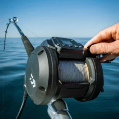 Daiwa Tanacom 800 Power Assist Electric Dendoh Reel -Daiwa Store TANACOM 800 41