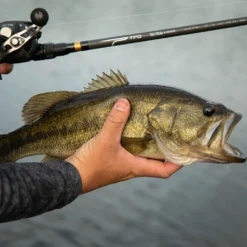 Temple Fork Outfitters Tactical Bass Baitcasting Rods -Daiwa Store Tactical Bass Bottom Banner Lifestlye 1 58dad5a5 5cde 4d45 abec 10983a08d6d8