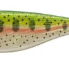 Westin ShadTeez 4 3/4 Inch Soft Paddle Tail Swimbait 2 Pack -Daiwa Store s l1600 a36f88b2 9c92 4bdf 84fe f54691b90156