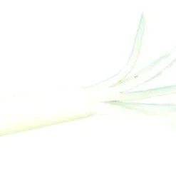 Jerry's Mini Skirt 1 1/2 Inch Soft Plastic Tube 20 Pack -Daiwa Store s l500 f2cdc179 03f8 42f0 963d 36f951a79e56