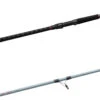 Daiwa Team Daiwa Spinning Surf Rods -Daiwa Store teamdaiwasurf.JPG a0dddbb9 5def 4405 916c beed396e121f