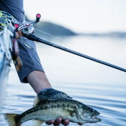 Temple Fork Outfitters Tactical Elite Bass Spinning Rods 26 Temple Fork Outfitters Tactical Elite Bass Spinning Rods -Daiwa Store tfo tactical elite bass bottom banner lifestyle 1 1 3aefa395 da73 4318 948c 1a40ec1d5732