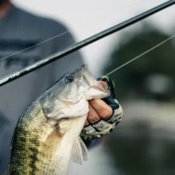 Temple Fork Outfitters Tactical Elite Bass Spinning Rods 18 Temple Fork Outfitters Tactical Elite Bass Spinning Rods -Daiwa Store tfo tactical elite bass bottom banner lifestyle 5 1 8cce2bf0 8629 4e5b 8764 3e02c6dac99d