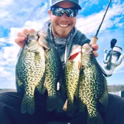 Temple Fork Outfitters Trout-Panfish Spinning Rods -Daiwa Store tfo trout panfish crappie